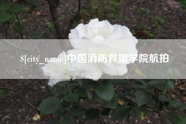 巨野中国消防救援学院航拍