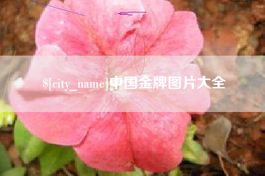 巨野中国金牌图片大全