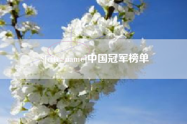 巨野中国冠军榜单