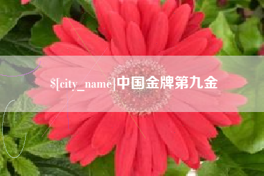 巨野中国金牌第九金