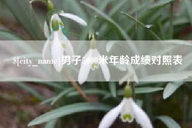 巨野男子5000米年龄成绩对照表