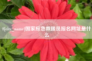 巨野国家应急救援员报名网址是什么