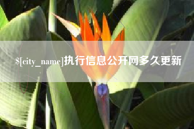 巨野执行信息公开网多久更新