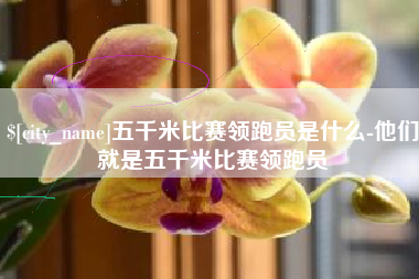 巨野五千米比赛领跑员是什么-他们就是五千米比赛领跑员