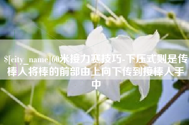 巨野60米接力赛技巧-下压式则是传棒人将棒的前部由上向下传到接棒人手中