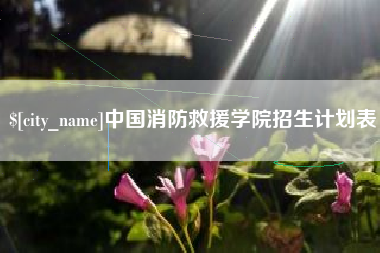 巨野中国消防救援学院招生计划表