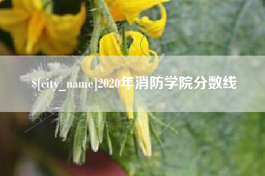 巨野2020年消防学院分数线