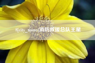 巨野消防救援总队王星