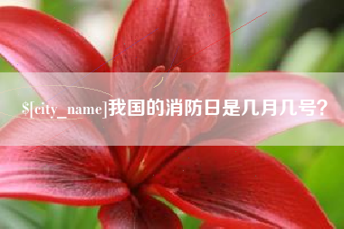 巨野我国的消防日是几月几号？