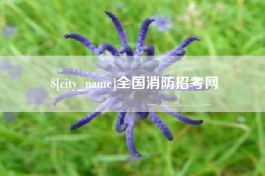 巨野全国消防招考网