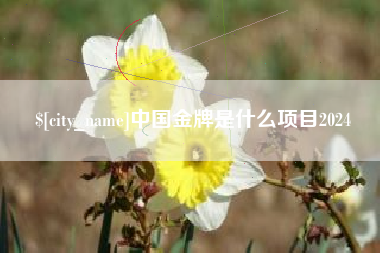 巨野中国金牌是什么项目2024
