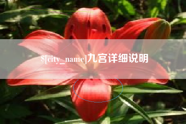 巨野九宫详细说明