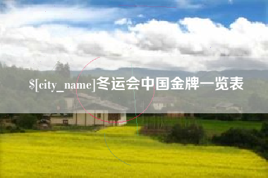 巨野冬运会中国金牌一览表
