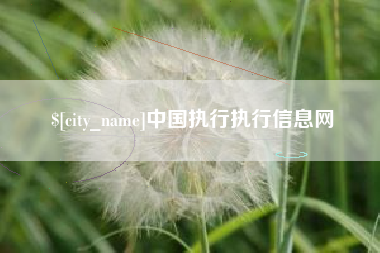 巨野中国执行执行信息网