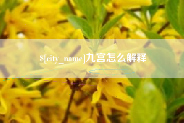 巨野九宫怎么解释