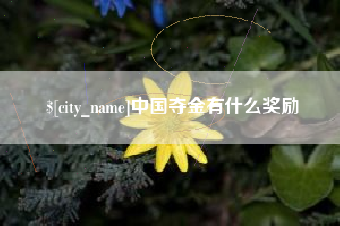 巨野中国夺金有什么奖励
