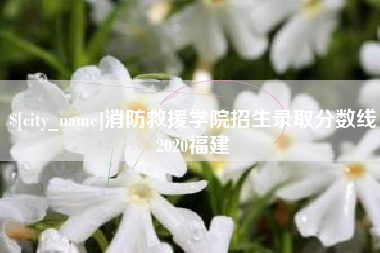 巨野消防救援学院招生录取分数线2020福建