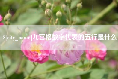 巨野九宫格数字代表的五行是什么
