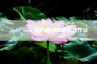 巨野消防证国网查询操作证