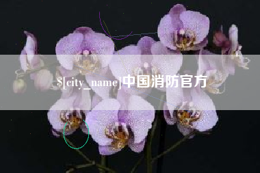 巨野中国消防官方