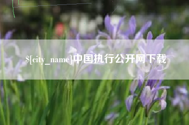 巨野中国执行公开网下载