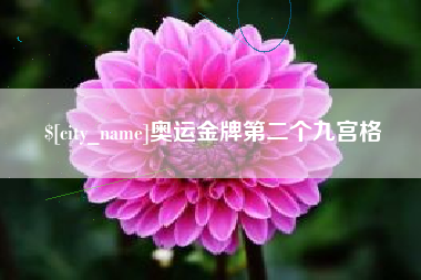 巨野奥运金牌第二个九宫格