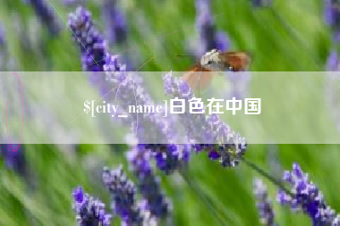巨野白色在中国