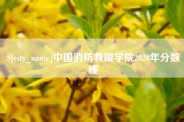 巨野中国消防救援学院2020年分数线