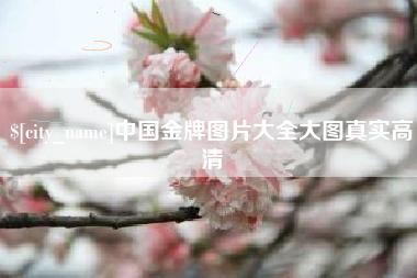巨野中国金牌图片大全大图真实高清