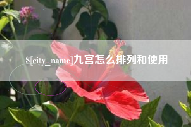 巨野九宫怎么排列和使用