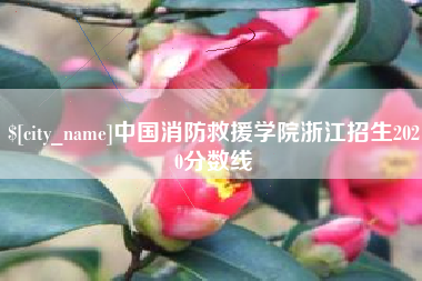 巨野中国消防救援学院浙江招生2020分数线