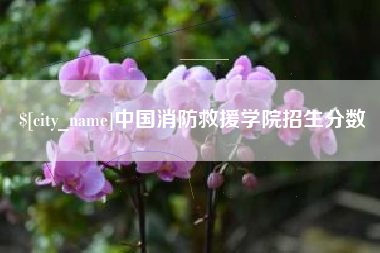 巨野中国消防救援学院招生分数