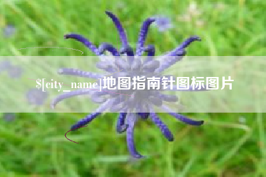 巨野地图指南针图标图片
