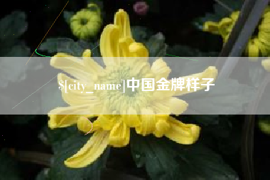 巨野中国金牌样子