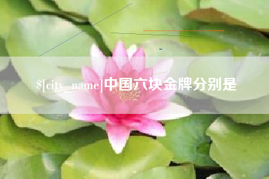 巨野中国六块金牌分别是