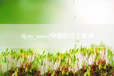 巨野中国的几个金牌