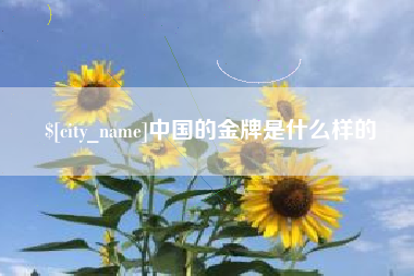 巨野中国的金牌是什么样的