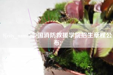 巨野中国消防救援学院招生章程公布!