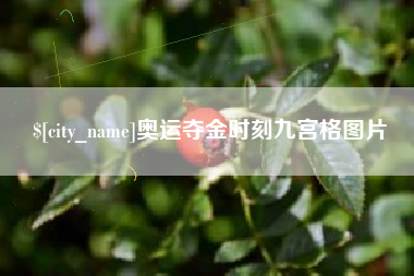 巨野奥运夺金时刻九宫格图片