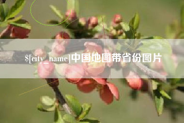 巨野中国地图带省份图片