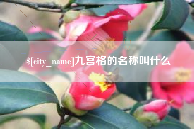 巨野九宫格的名称叫什么