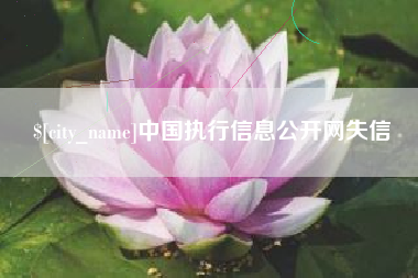 巨野中国执行信息公开网失信
