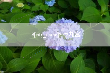 巨野2022九宫