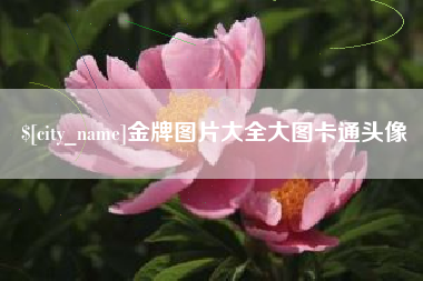 巨野金牌图片大全大图卡通头像