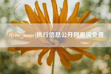 巨野执行信息公开网查询免费