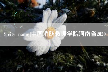 巨野中国消防救援学院河南省2020