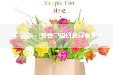 巨野看看中国的金牌有多少